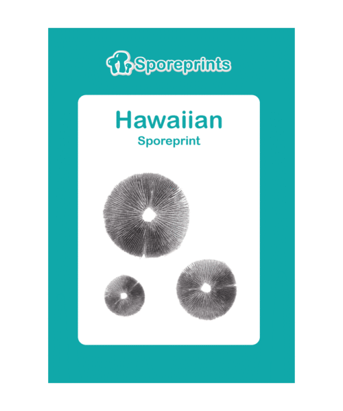 Alternatieve kijk op Hawaiian Sporeprint