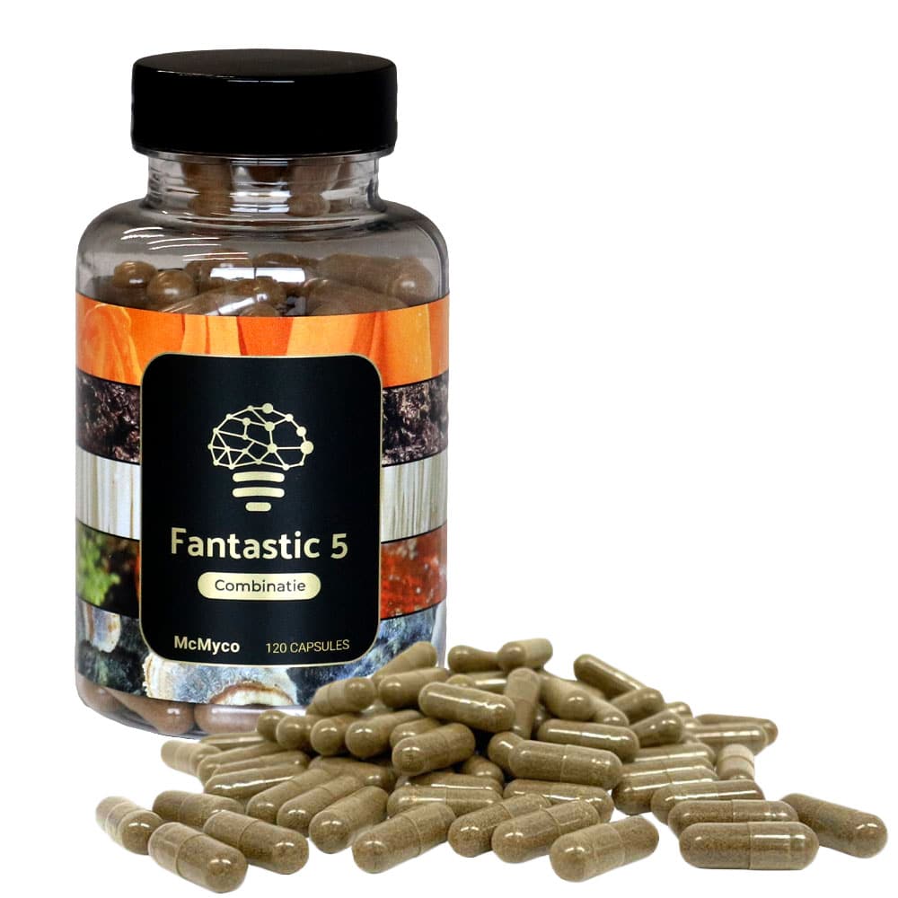 Fantastic 5 - Afbeelding 6