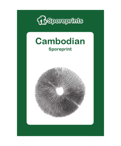 Alternatieve kijk op Cambodian Sporeprint