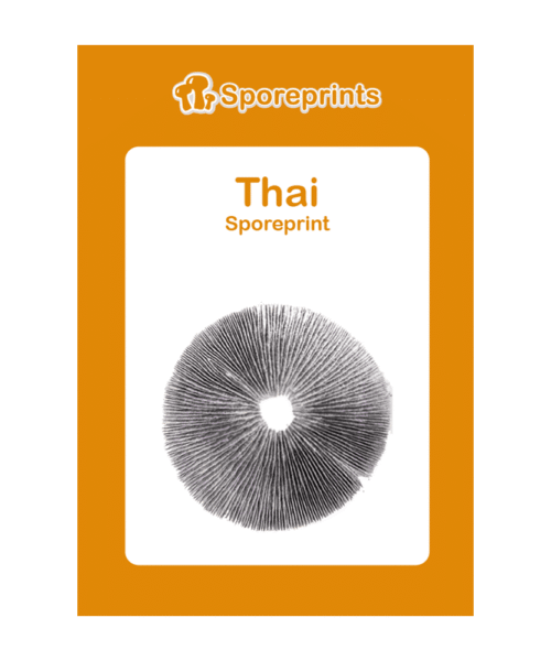 Alternatieve kijk op Thai Sporeprint