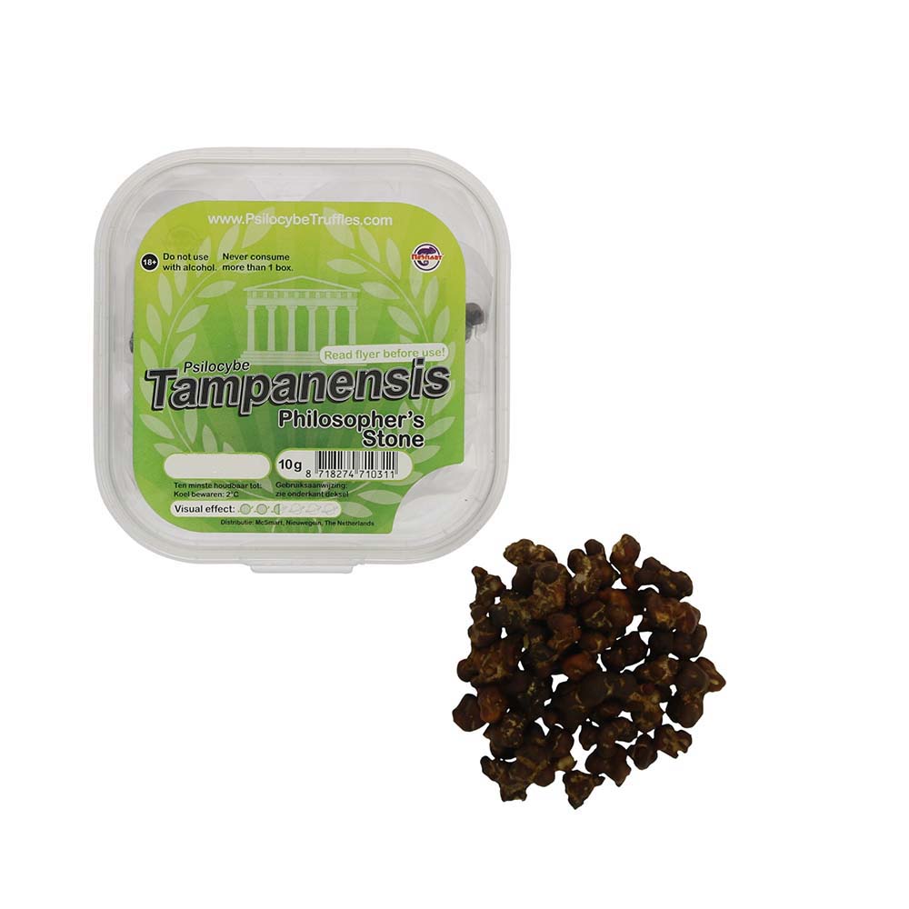 Tampanensis Magic Truffels - Afbeelding 8