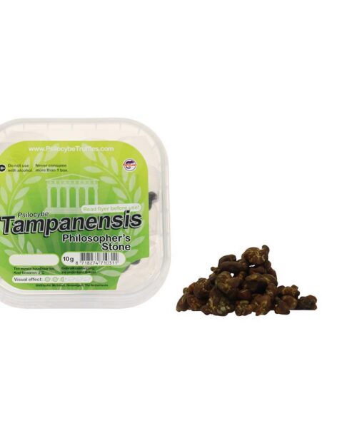Alternatieve kijk op First Trip Together Pack (30 grams)