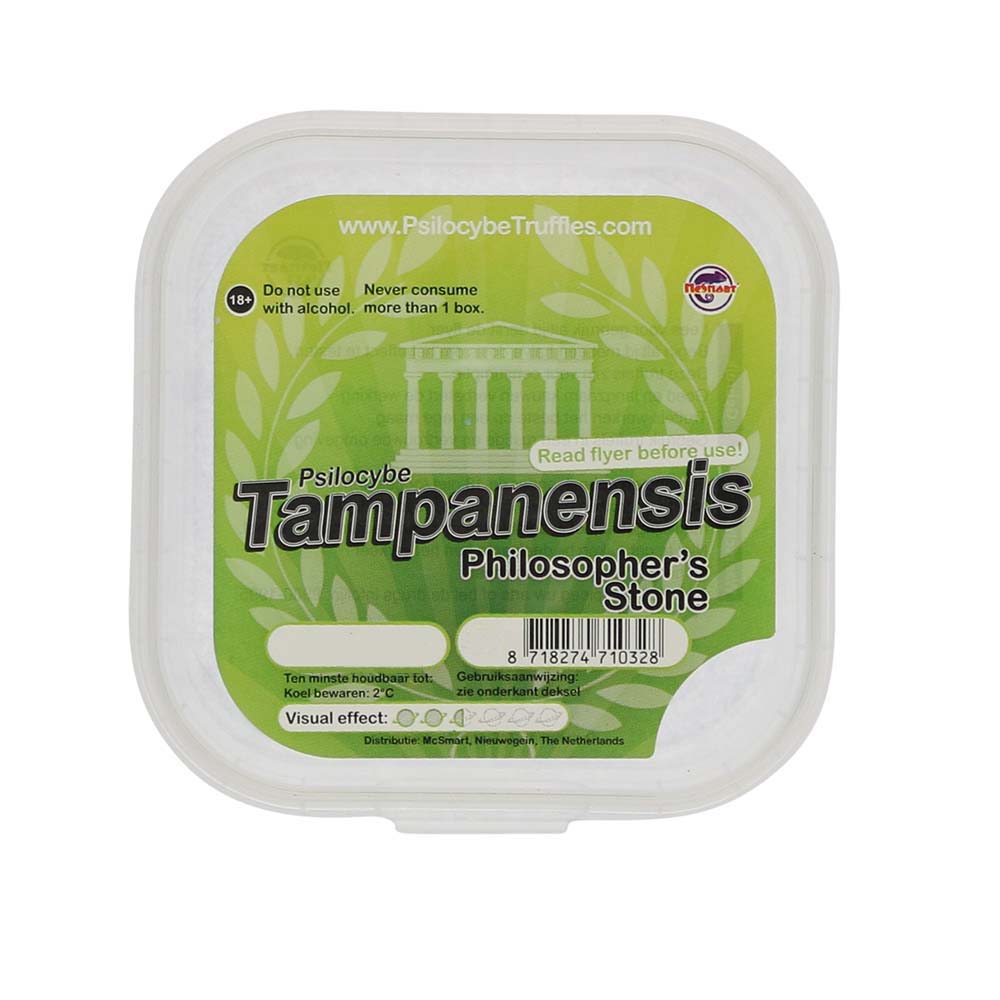 Tampanensis Magic Truffels - Afbeelding 13