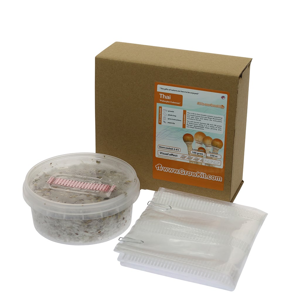 Thai Paddo’s Kweekset - Afbeelding 7