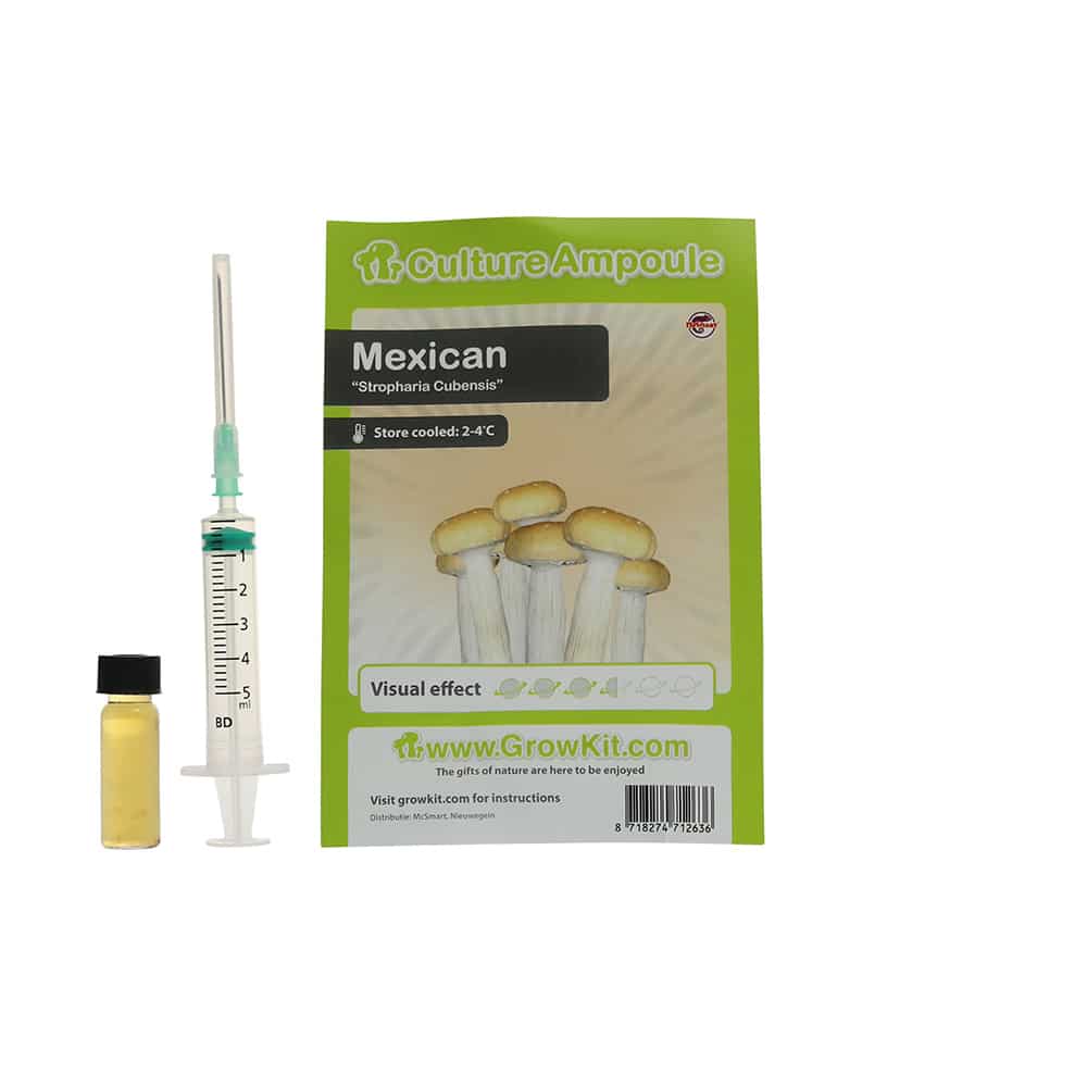 Mexican Sporenspuit (Stropharia Cubensis) - Afbeelding 5