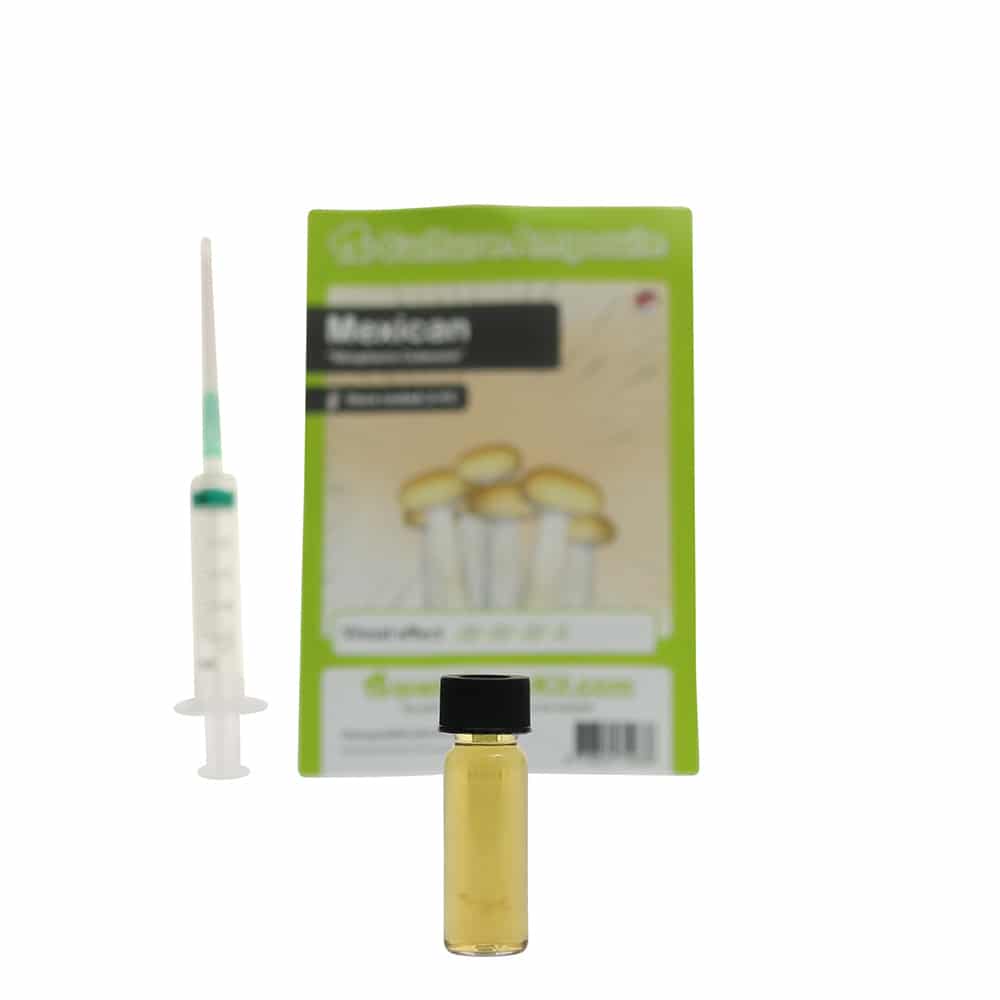 Mexican Sporenspuit (Stropharia Cubensis) - Afbeelding 7