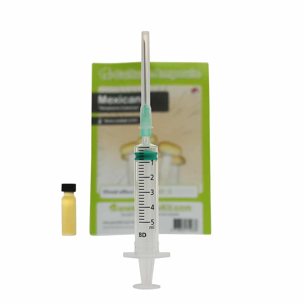 Mexican Sporenspuit (Stropharia Cubensis) - Afbeelding 8