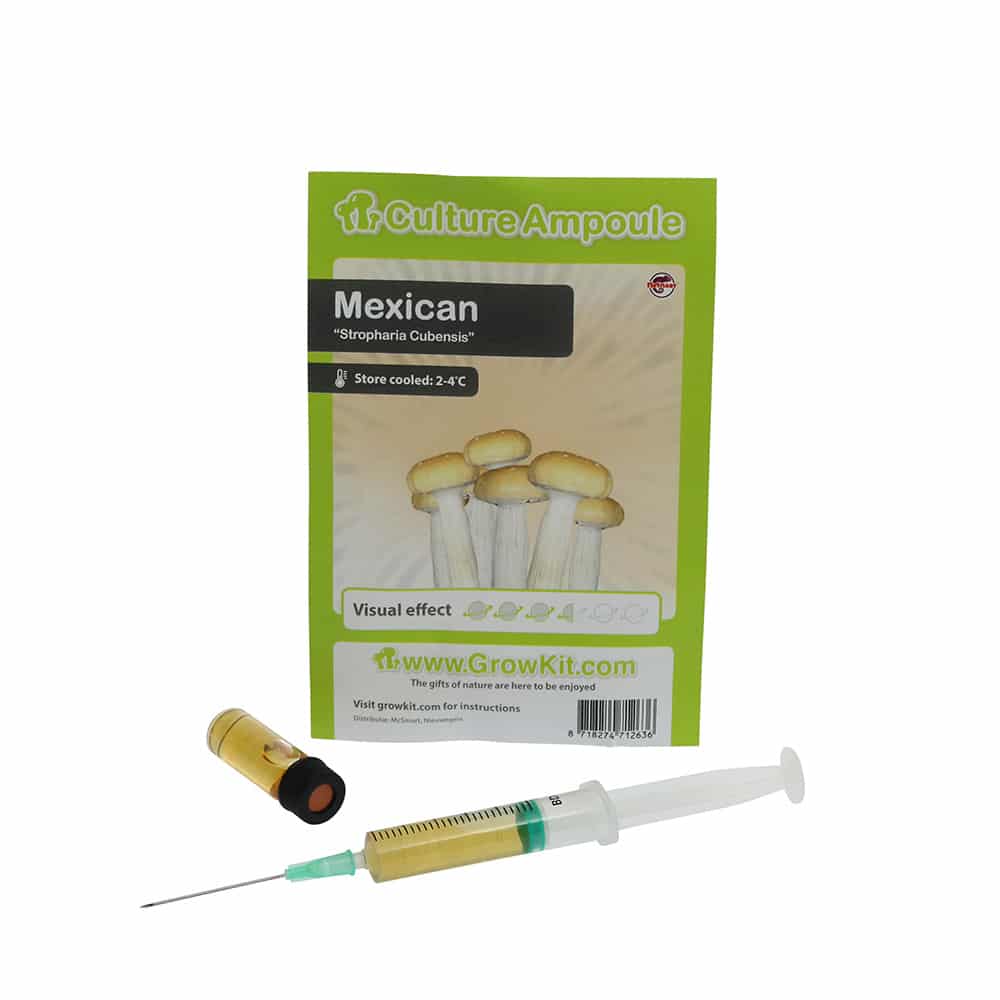 Mexican Sporenspuit (Stropharia Cubensis) - Afbeelding 6