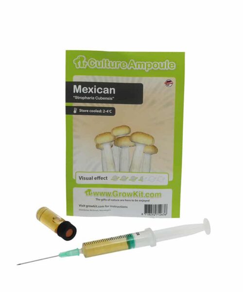 Alternatieve kijk op Mexican Sporenspuit (Stropharia Cubensis)