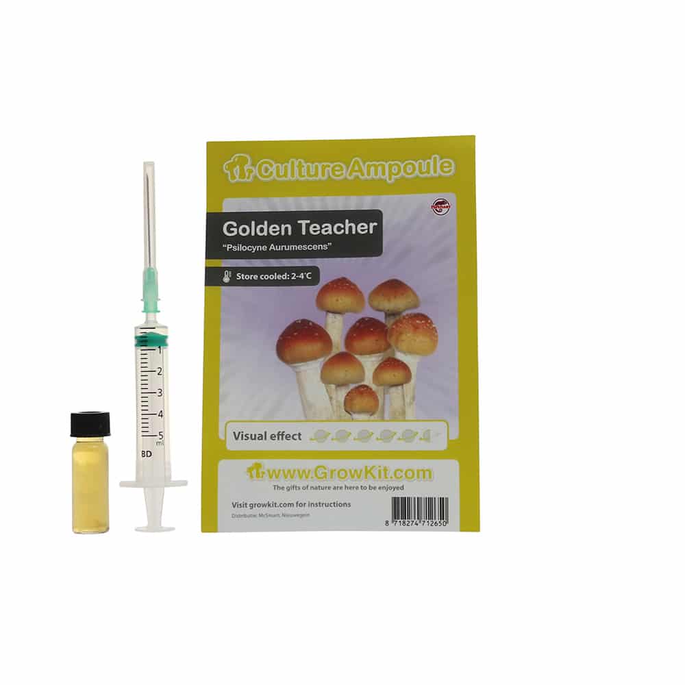 Golden Teacher Sporenspuit (Psilocybe Aurumescens) - Afbeelding 5