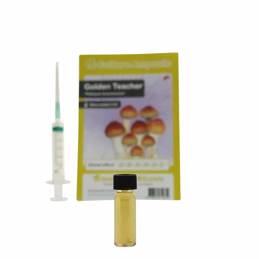 Golden Teacher Sporenspuit (Psilocybe Aurumescens) - Afbeelding 7