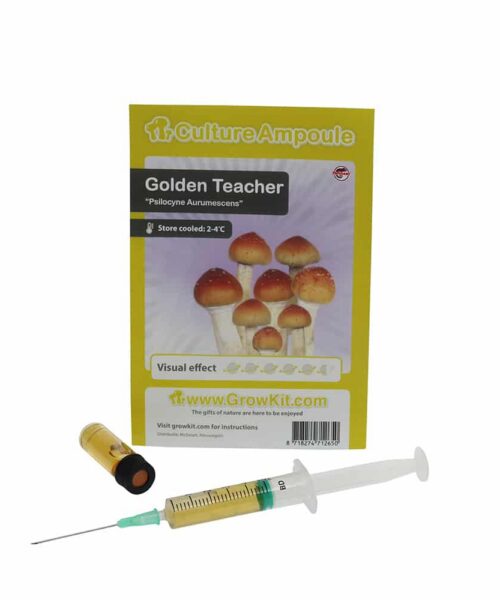 Alternatieve kijk op Golden Teacher Sporenspuit (Psilocybe Aurumescens)