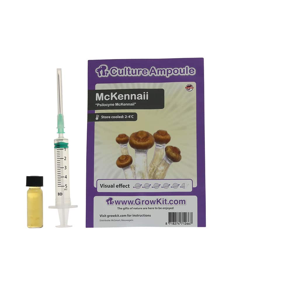 McKennaii Sporenspuit (Psilocybe McKennaii) - Afbeelding 5