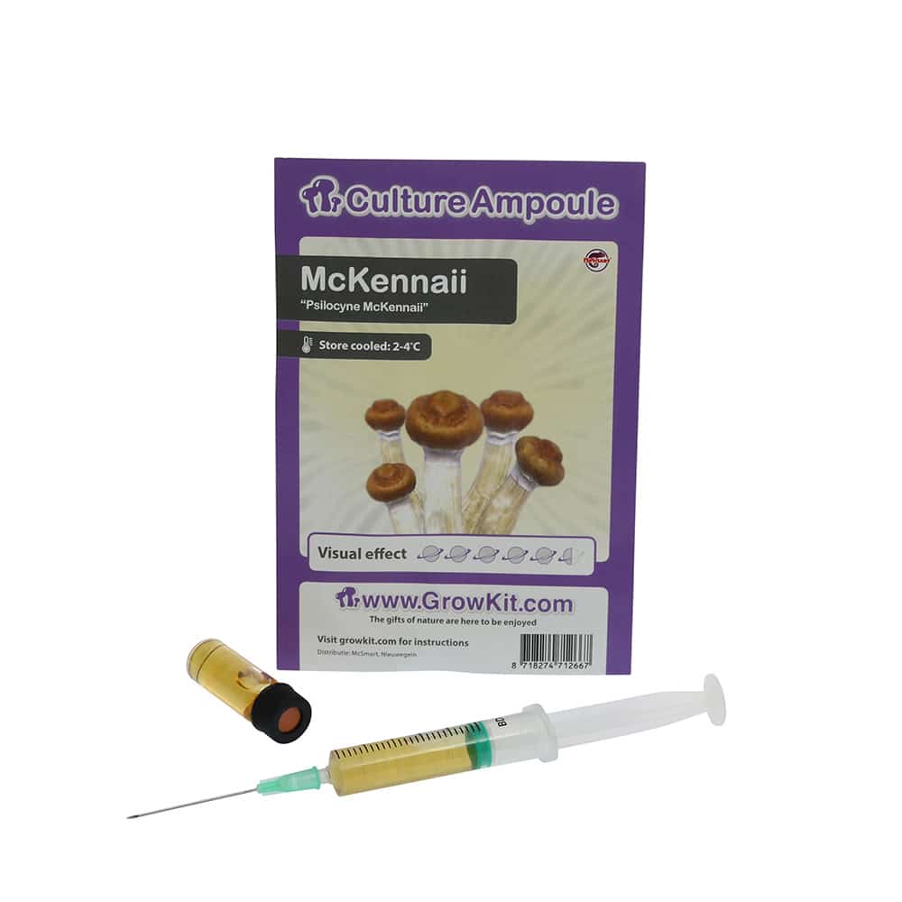 McKennaii Sporenspuit (Psilocybe McKennaii) - Afbeelding 6