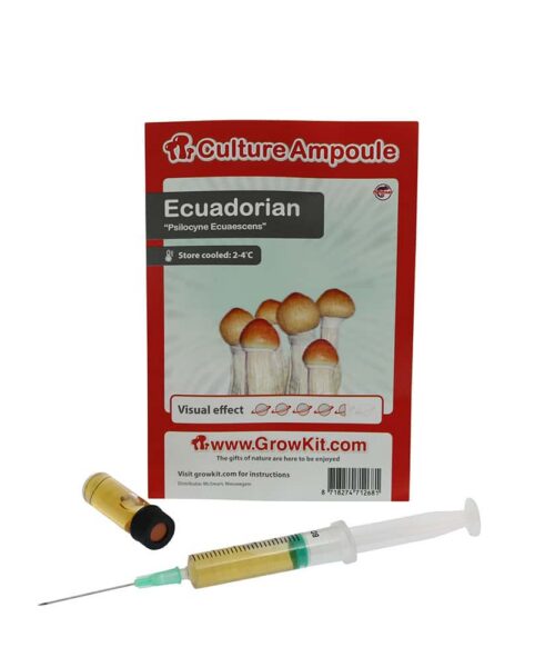 Alternatieve kijk op Ecuadorian Sporenspuit (Psilocybe Equaescens)