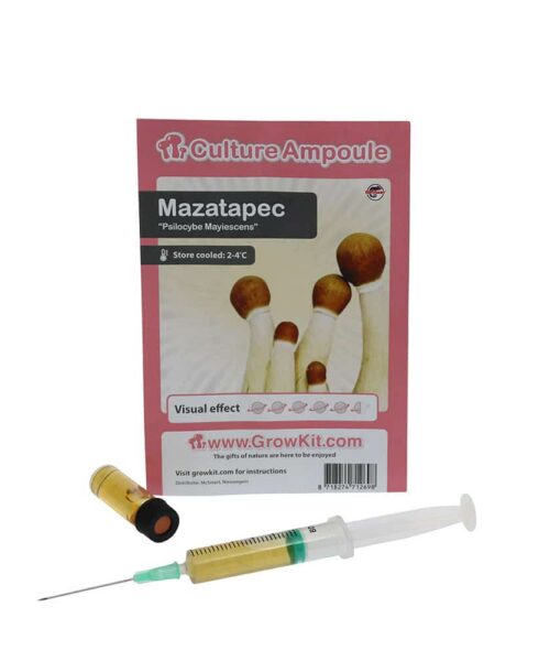 Alternatieve kijk op Mazatapec Sporenspuit (Psilocybe Mayiescens)