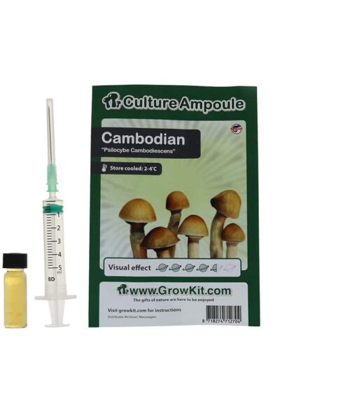Cambodian Sporenspuit (Psilocybe Cambodiescens)