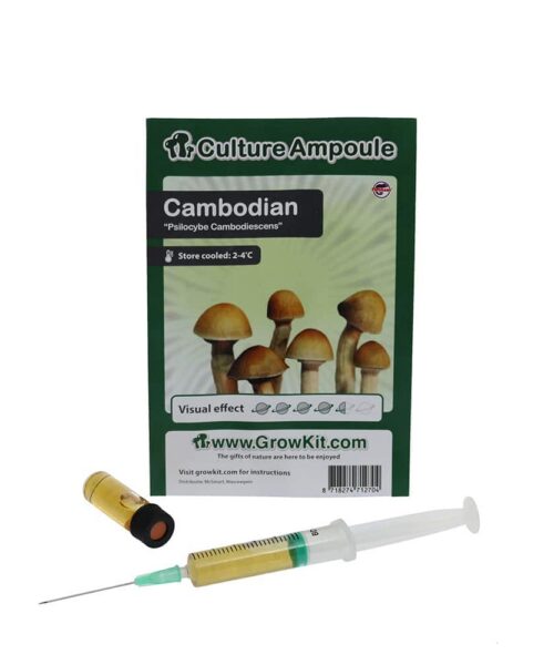 Alternatieve kijk op Cambodian Sporenspuit (Psilocybe Cambodiescens)