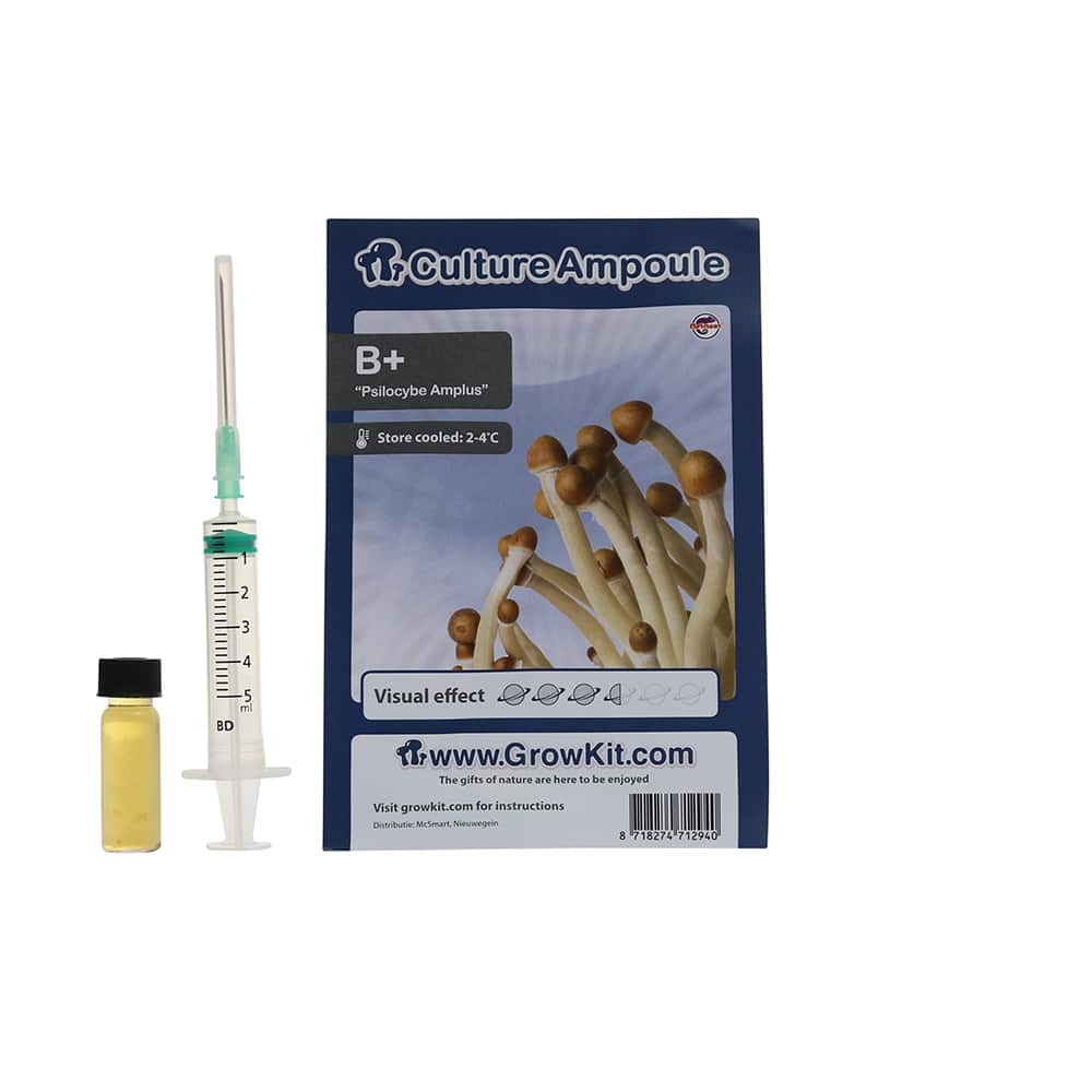 B+ Sporenspuit (Psilocybe Amplus)
