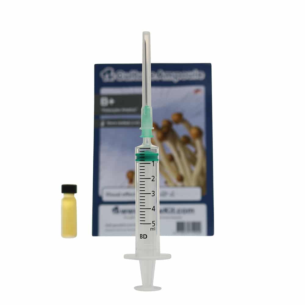 B+ Sporenspuit (Psilocybe Amplus) - Afbeelding 4