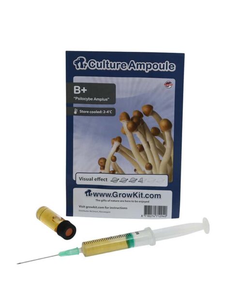 Alternatieve kijk op B+ Sporenspuit (Psilocybe Amplus)