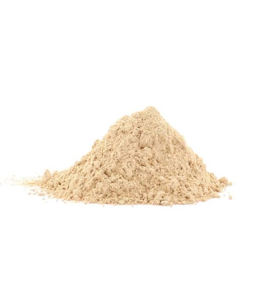 Alternatieve kijk op Agaricus Blazei - 200 gram poeder