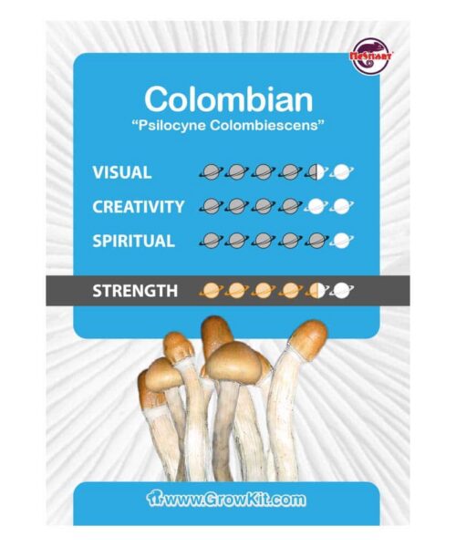 Alternatieve kijk op Colombian Paddo’s Kweekset