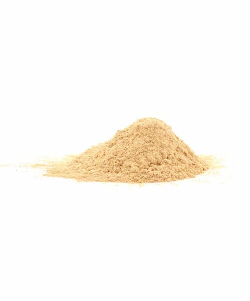 Alternatieve kijk op Cordyceps - 200 gram poeder