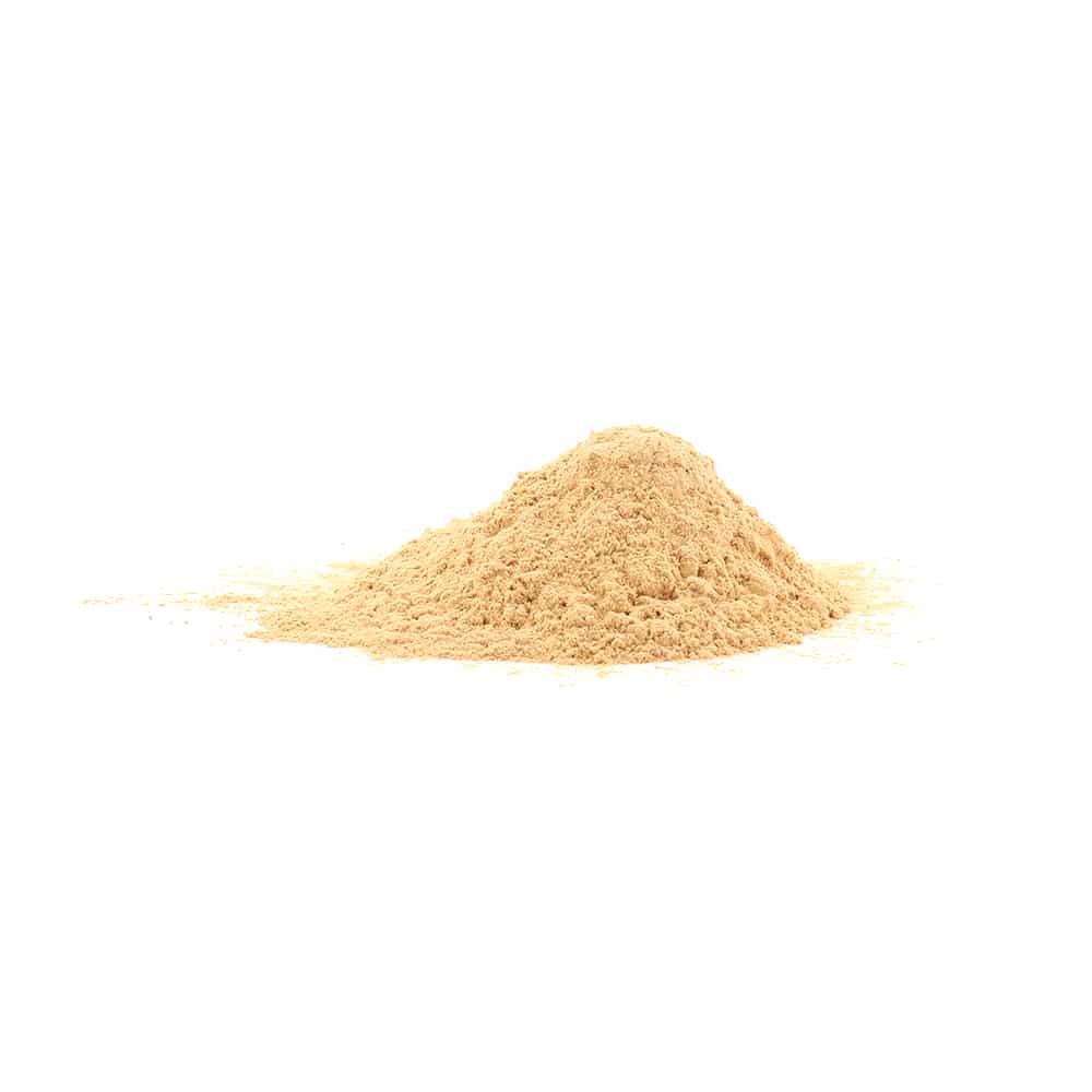 Cordyceps - 200 gram poeder - Afbeelding 2