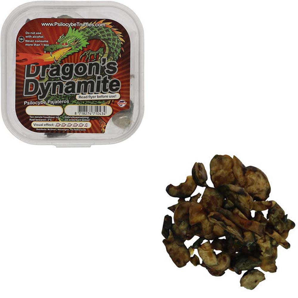 Tampanensis Magic Truffels - Afbeelding 15