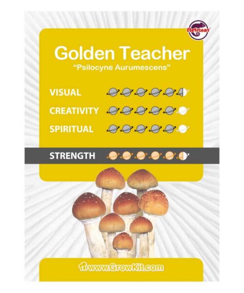 Alternatieve kijk op Golden Teacher Paddo’s Kweekset