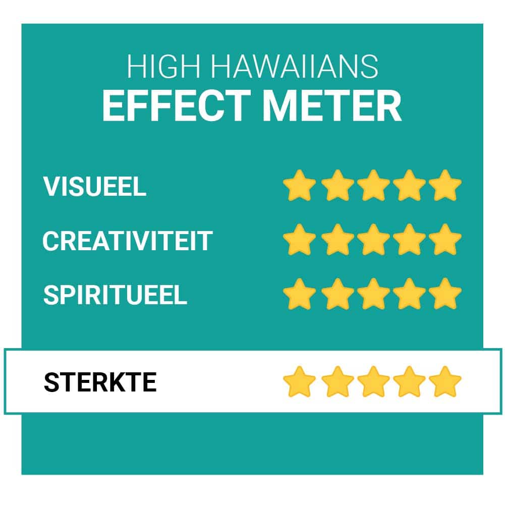 High Hawaiians Magic Truffels - Afbeelding 19