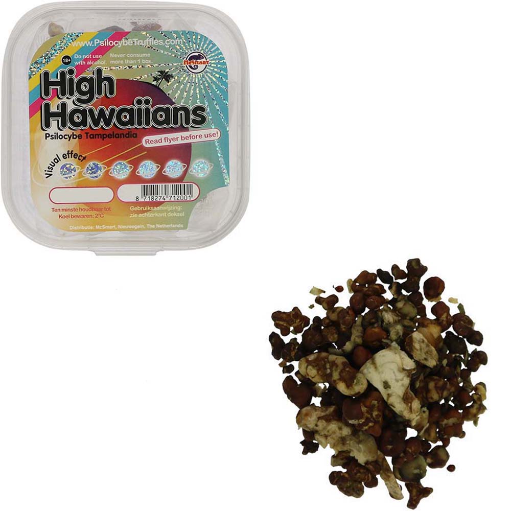 Tampanensis Magic Truffels - Afbeelding 17