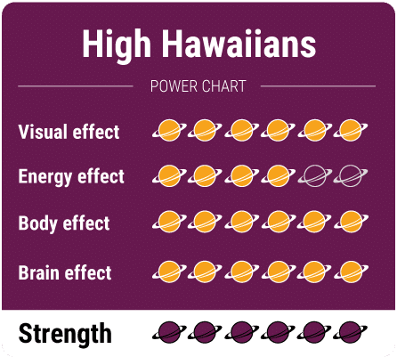 High Hawaiians Magic Truffels - Afbeelding 26
