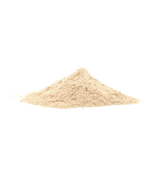 Alternatieve kijk op Lion's Mane - 200 gram poeder