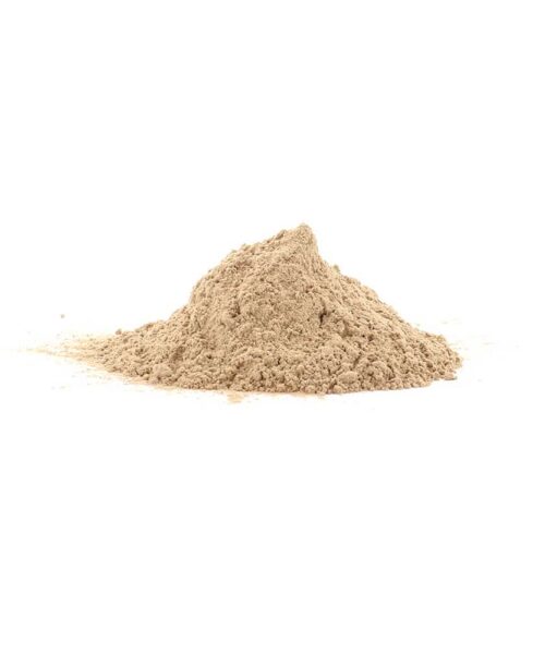 Alternatieve kijk op Maitake - 200 gram poeder