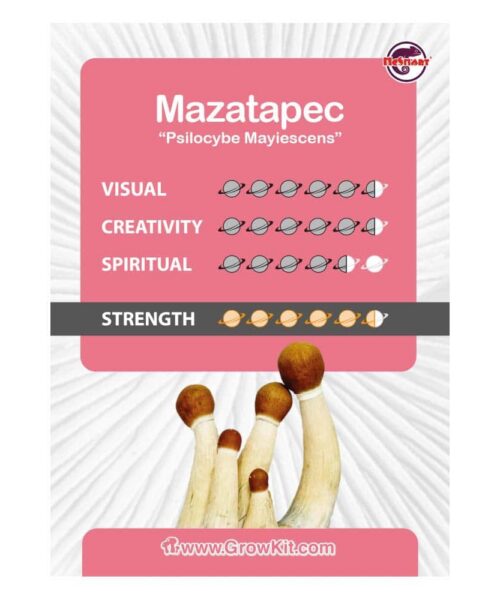 Alternatieve kijk op Mazatapec Paddo’s Kweekset