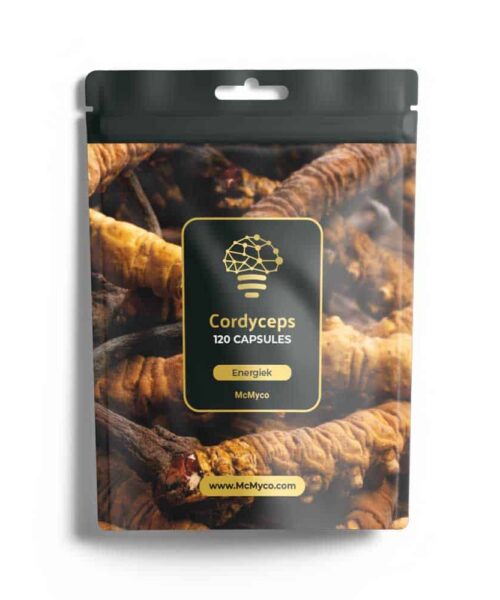 Cordyceps
