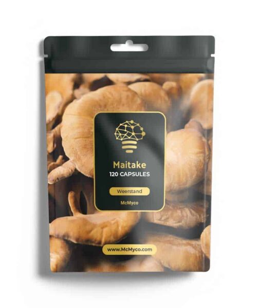 Maitake