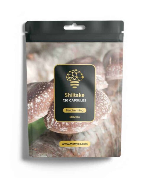 Shiitake