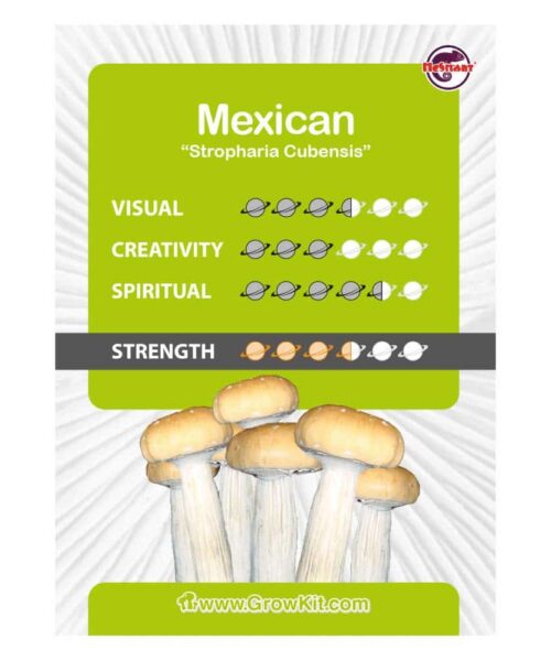 Alternatieve kijk op Mexican Paddo’s Kweekset