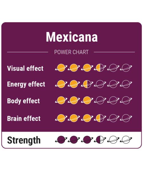 Alternatieve kijk op Mexicana Magic Truffels