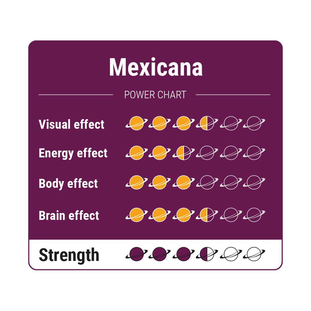 Mexicana Magic Truffels - Afbeelding 2