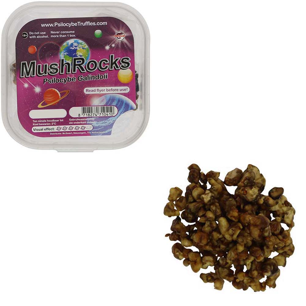 Tampanensis Magic Truffels - Afbeelding 19