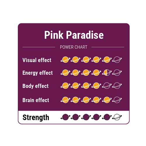 Alternatieve kijk op Pink Paradise Magic Truffels