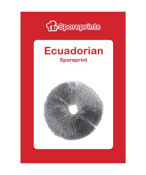 Alternatieve kijk op Ecuadorian Sporeprint