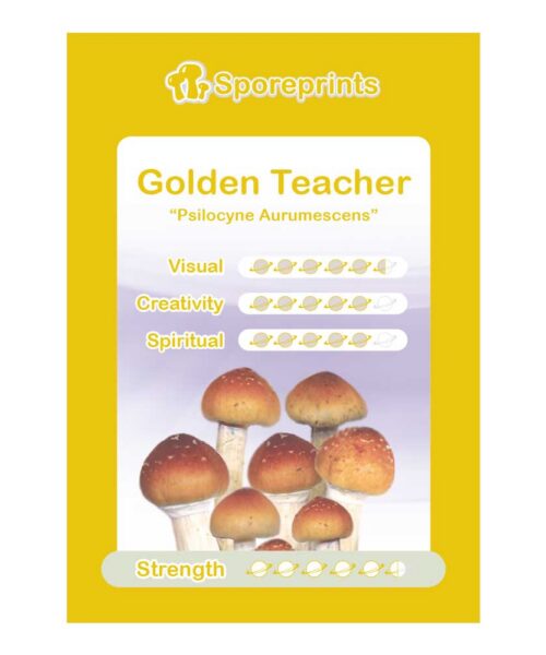 Golden Teacher Sporeprint