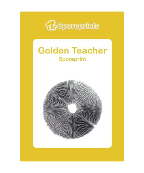 Alternatieve kijk op Golden Teacher Sporeprint