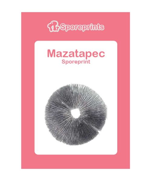 Alternatieve kijk op Mazatapec Sporeprint
