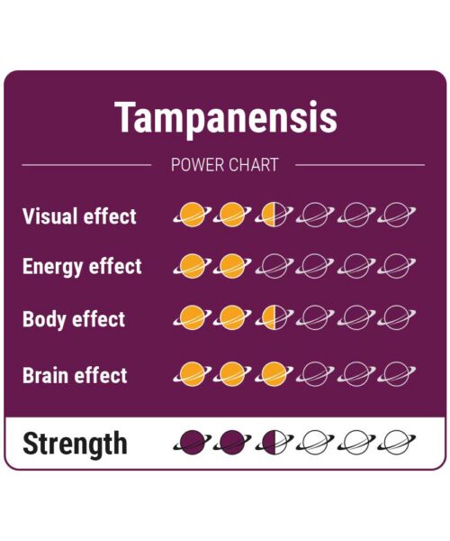 Alternatieve kijk op Tampanensis Magic Truffels